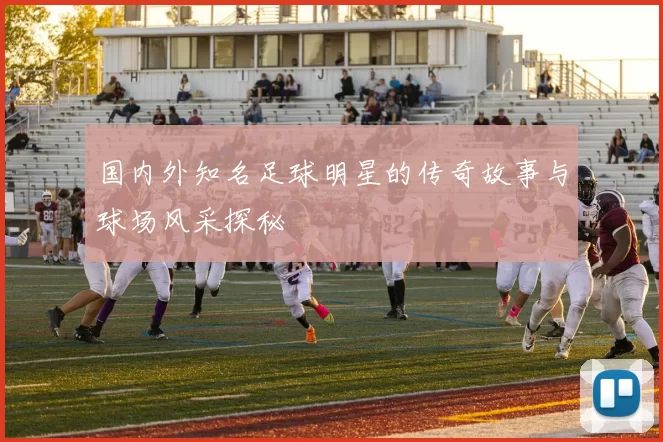 国内外知名足球明星的传奇故事与球场风采探秘