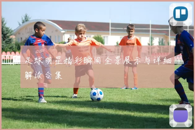 足球明星精彩瞬间全景展示与详细解读合集