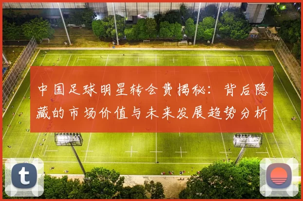 中国足球明星转会费揭秘：背后隐藏的市场价值与未来发展趋势分析
