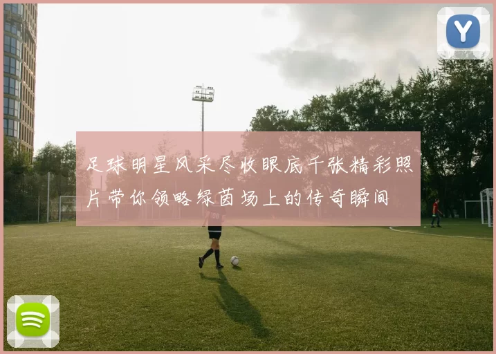 足球明星风采尽收眼底千张精彩照片带你领略绿茵场上的传奇瞬间