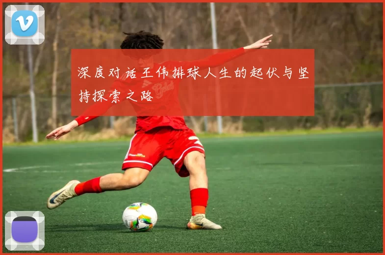 深度对话王伟排球人生的起伏与坚持探索之路