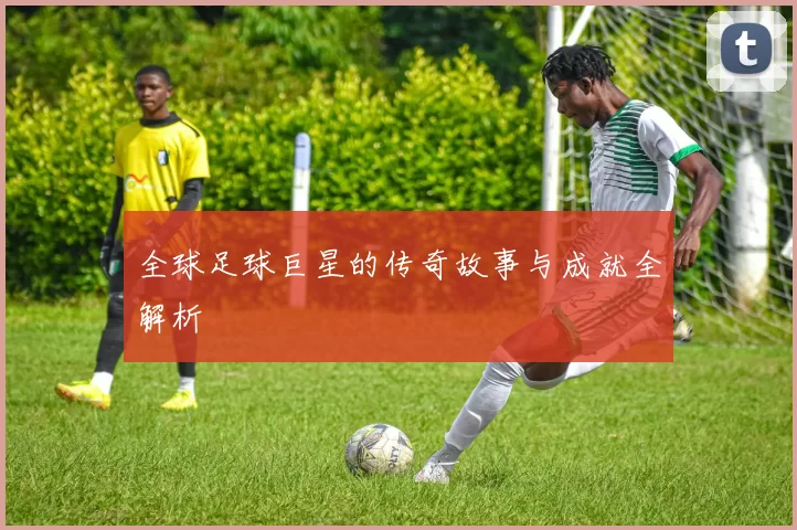 全球足球巨星的传奇故事与成就全解析
