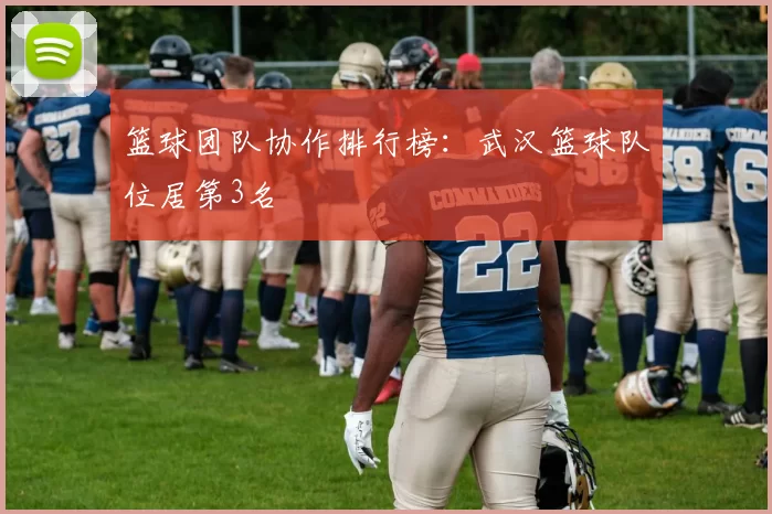 篮球团队协作排行榜：武汉篮球队位居第3名